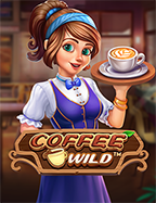 ทำความรู้จักกับเกม cash or crash ทดลอง เล่น